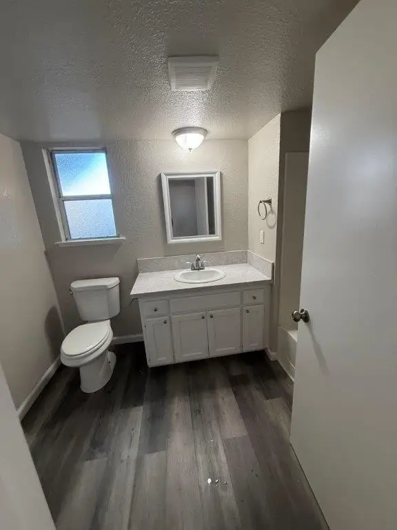 Picture 23