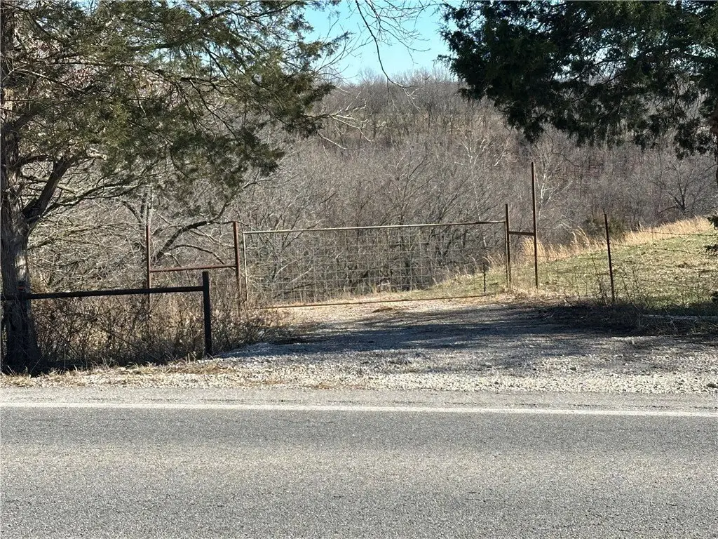 Picture 8