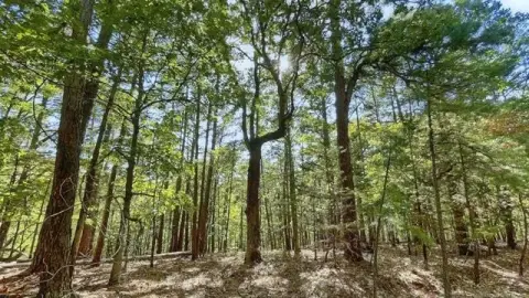 Residential Lot Near Illinois River