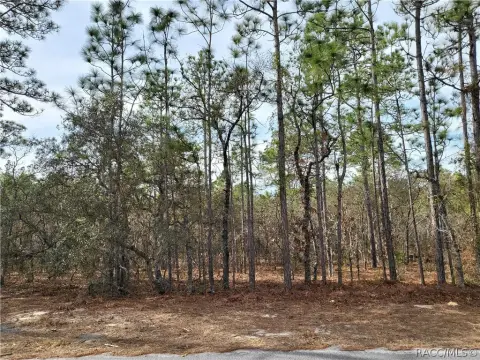 Vacant Homesite in Sugarmill Woods