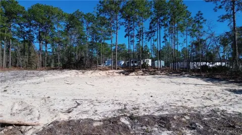 Citrus Springs Land Ready to Build
