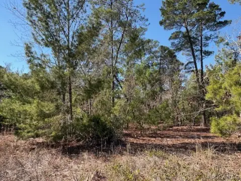 Residential Land in Sugarmill Woods