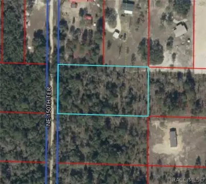 Williston, FL Wooded Land Parcel
