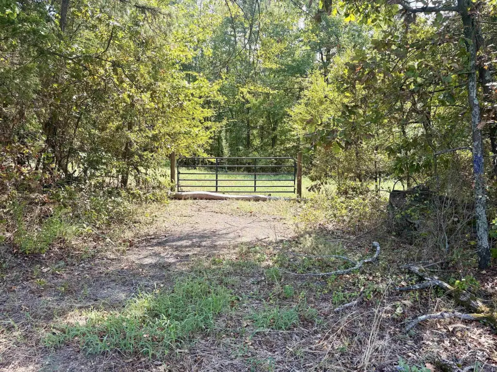 Picture 17