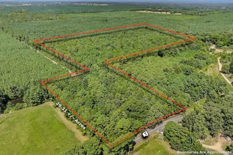 Wooded Recreation Land