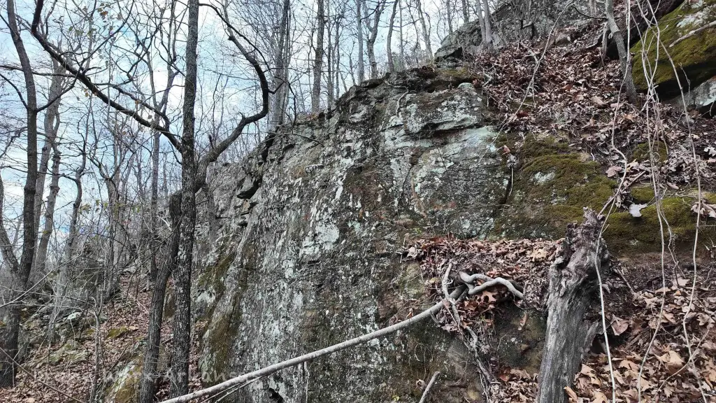 Picture 15
