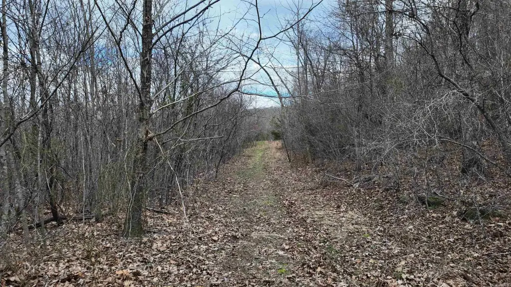Picture 17