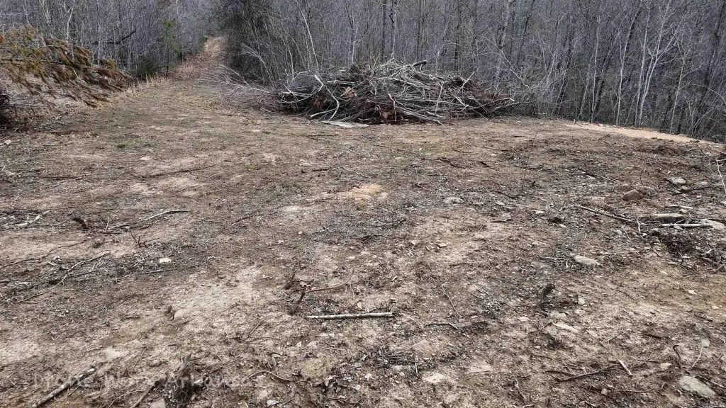Picture 23