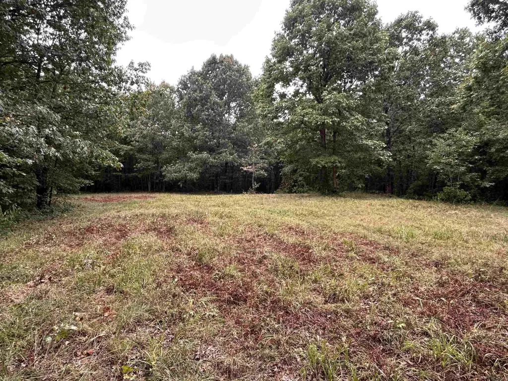 Picture 7