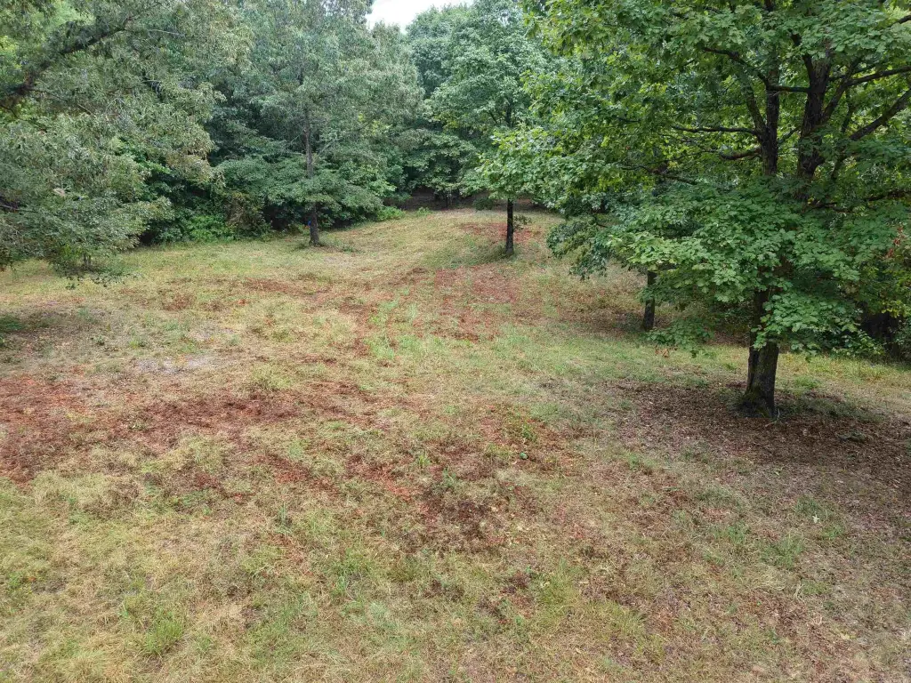 Picture 30