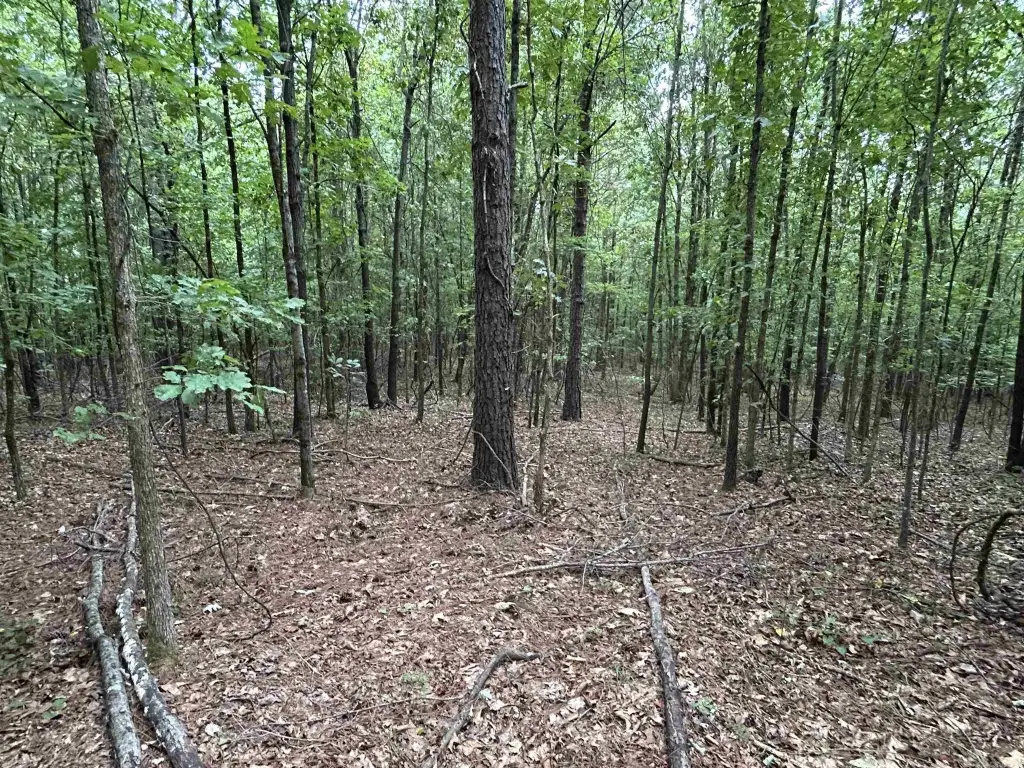 Picture 18