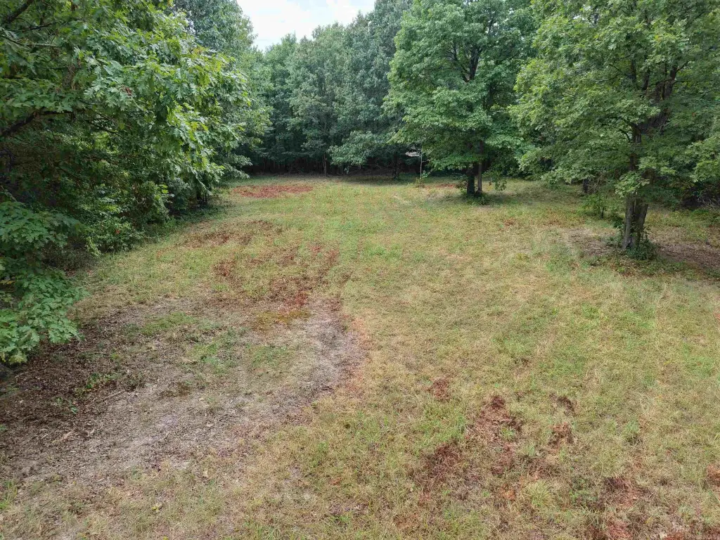 Picture 29