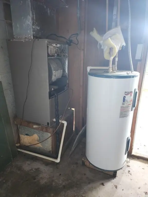 Picture 6