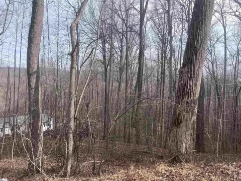 Residential Lot in Travelers Rest