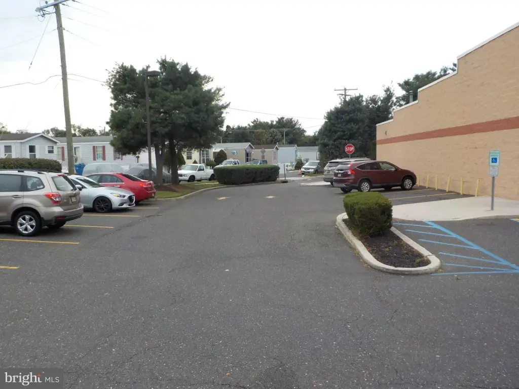 Picture 5