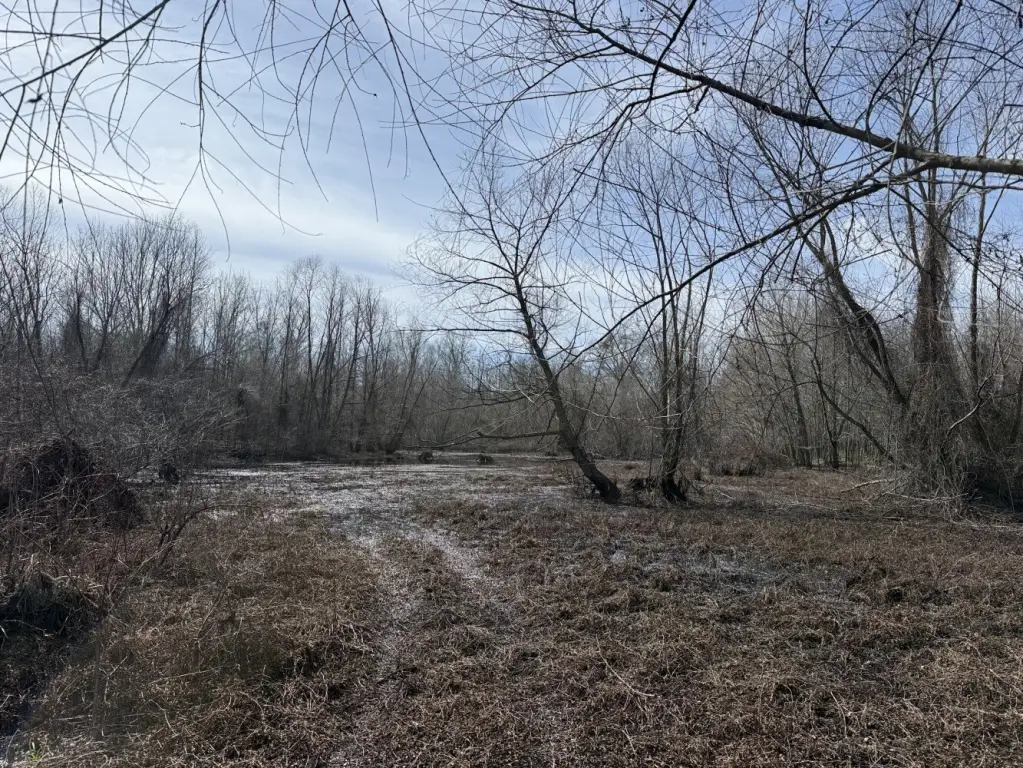 Picture 14