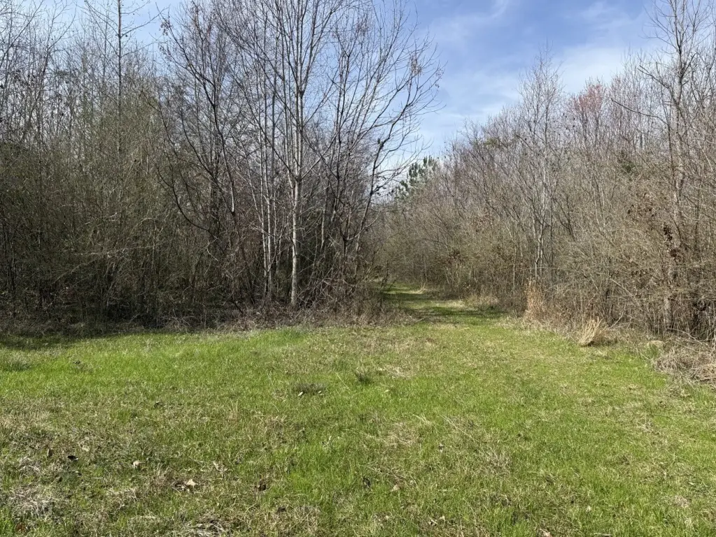Picture 9
