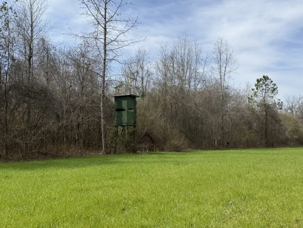 Picture 4