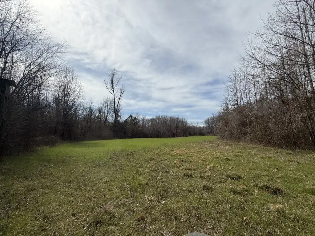 Picture 6