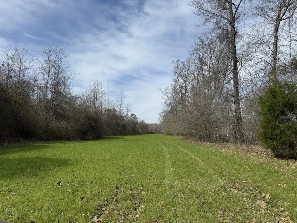Picture 3