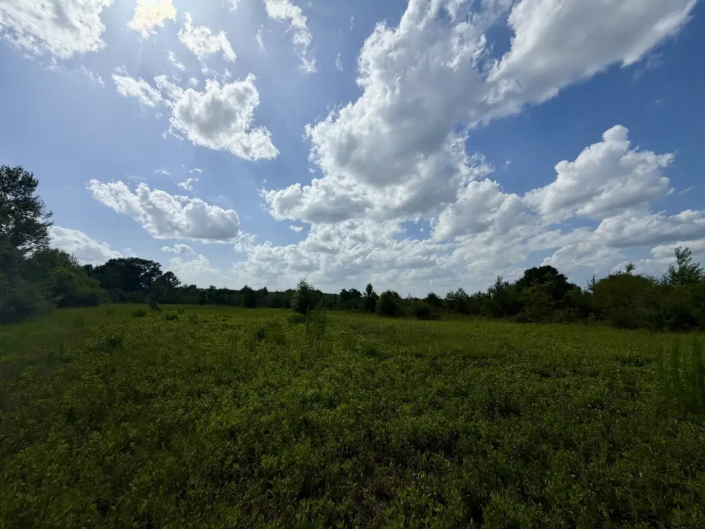 Picture 25