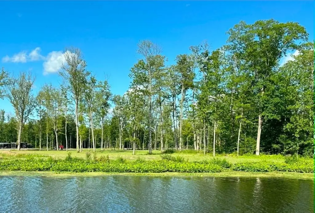 Picture 7