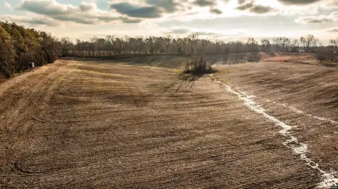 Dyer, TN Farmland Opportunity