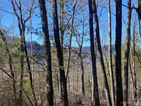 Land with Mountain Views