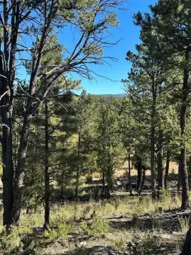 Land in Gated Pecos Community