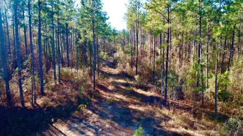 Thomasville Vacant Land For Sale