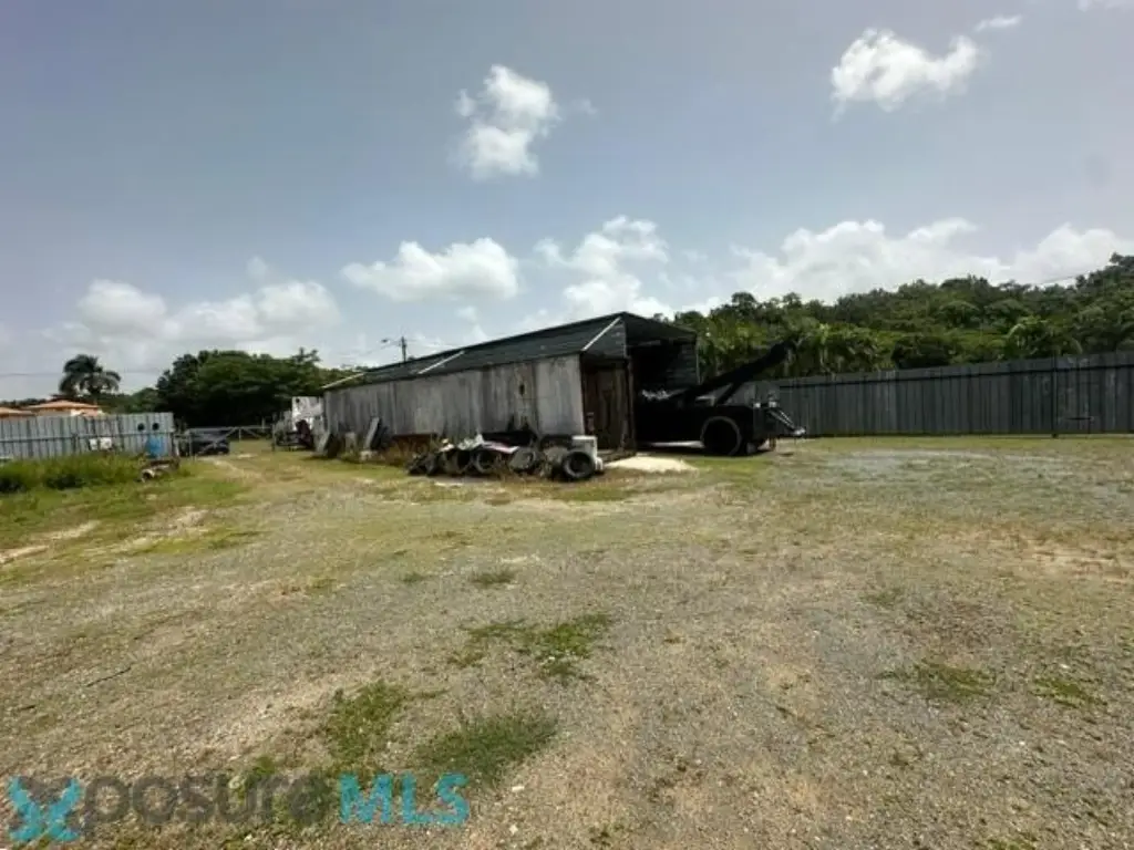 Picture 3