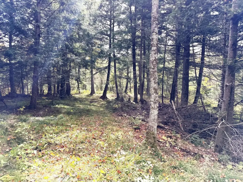 Picture 18
