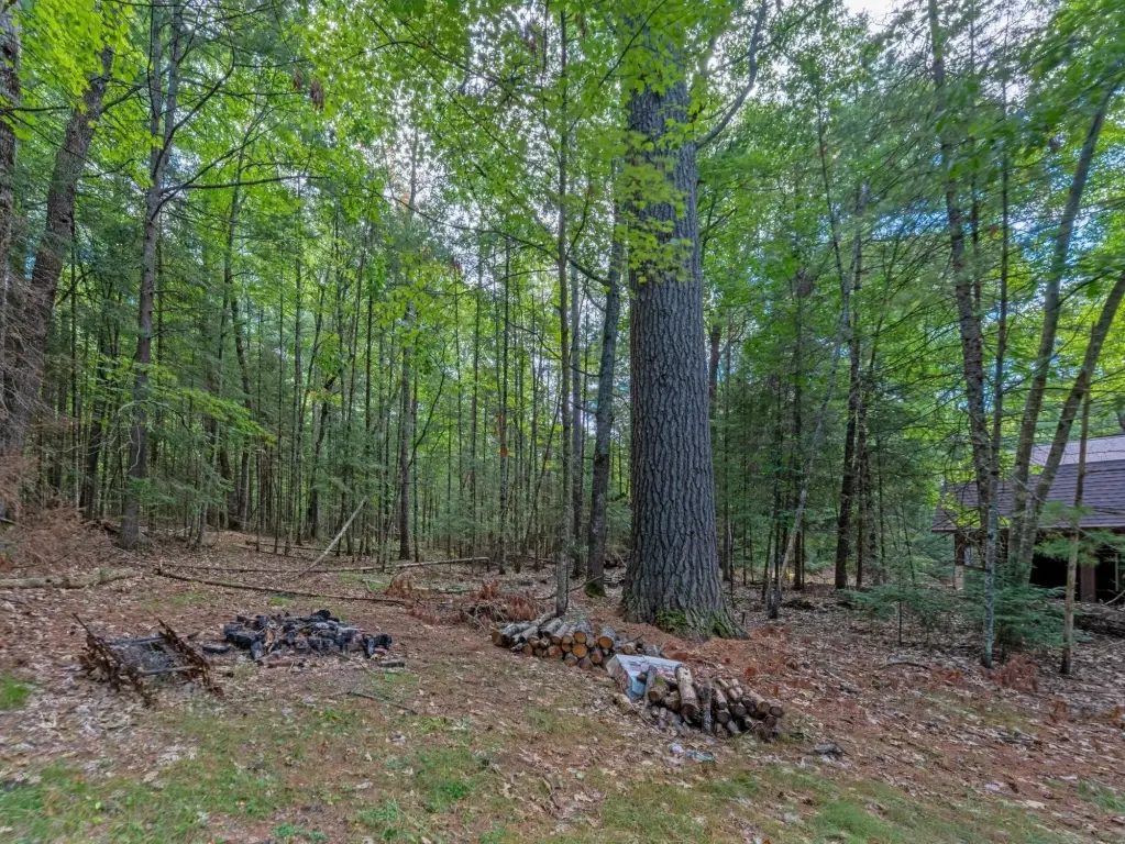 Picture 28