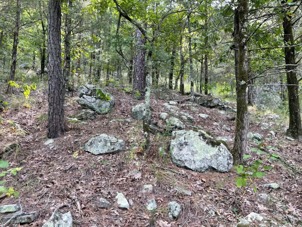 Picture 36