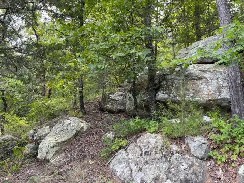 240 Acres Mountain Hunting Land
