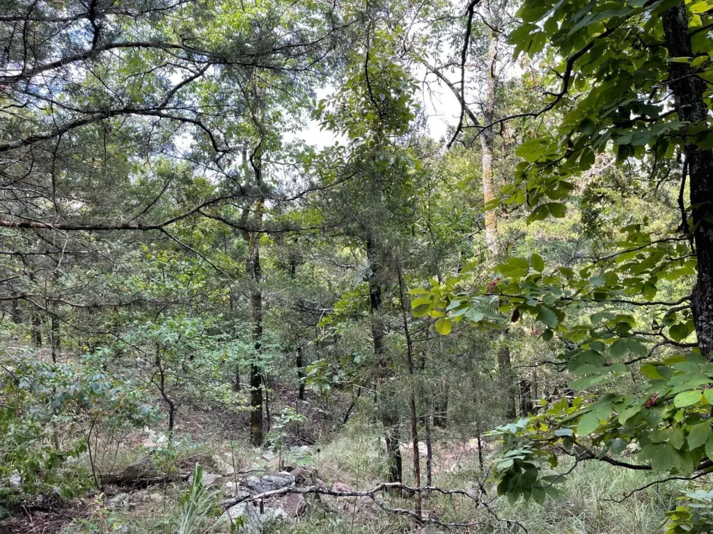 Picture 33