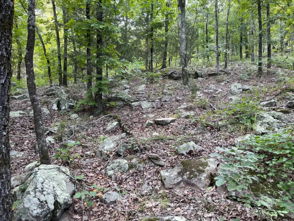 Picture 30