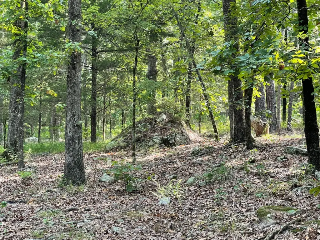 Picture 22