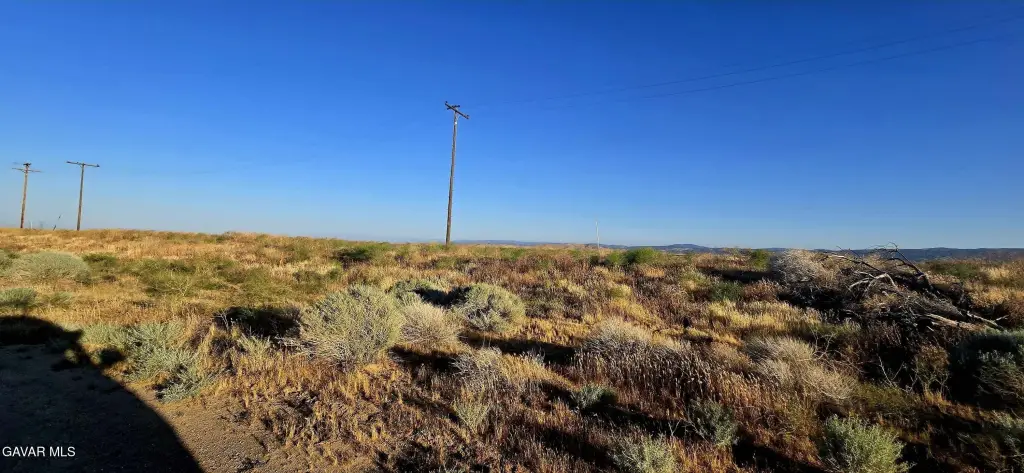 Picture 30