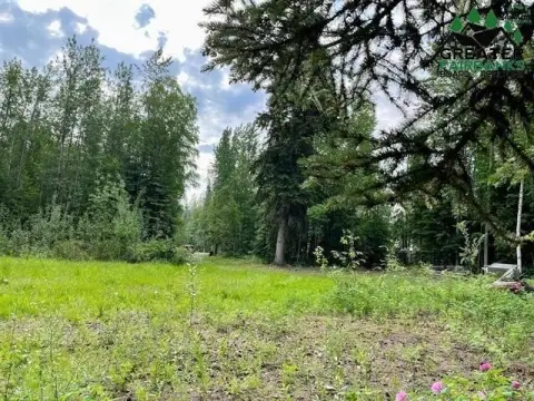 Residential Lot in North Pole