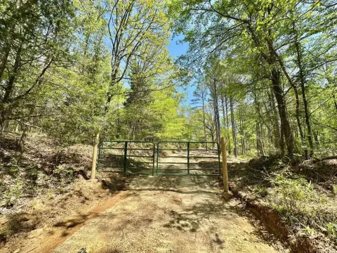 Carrollton, MS Timberland Hunting Tract