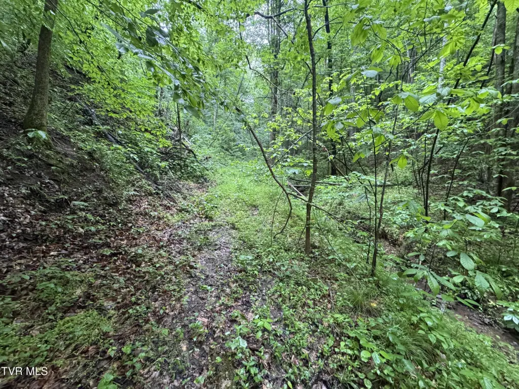 Picture 30