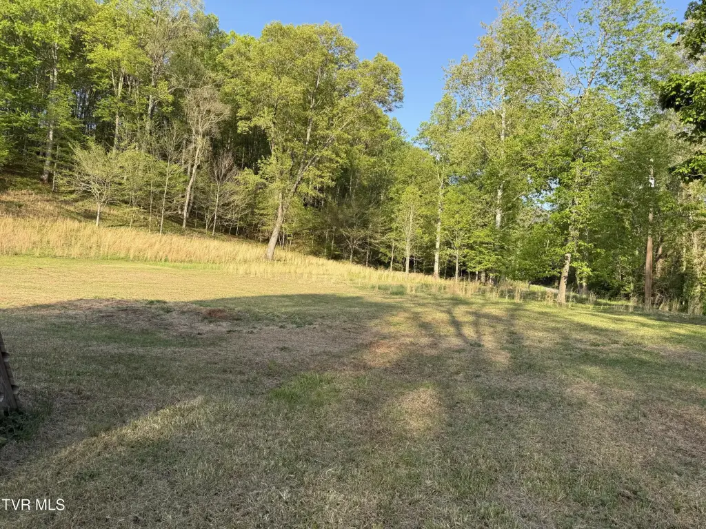 Picture 36