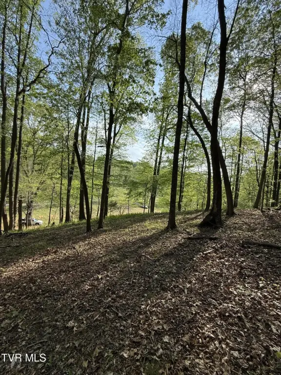 Picture 15