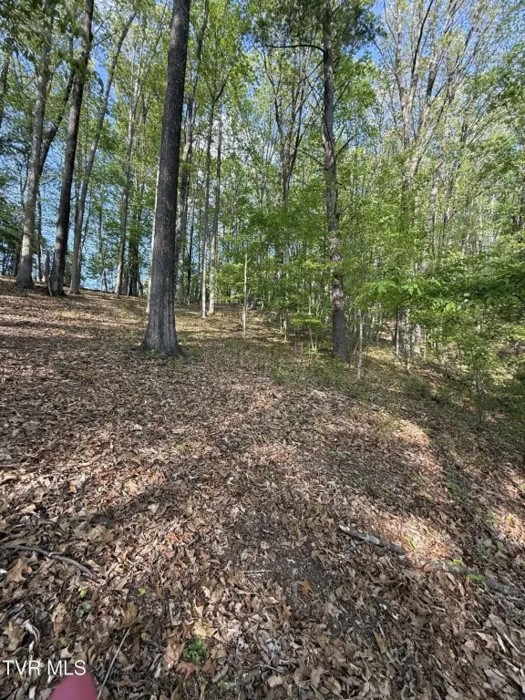 Picture 12
