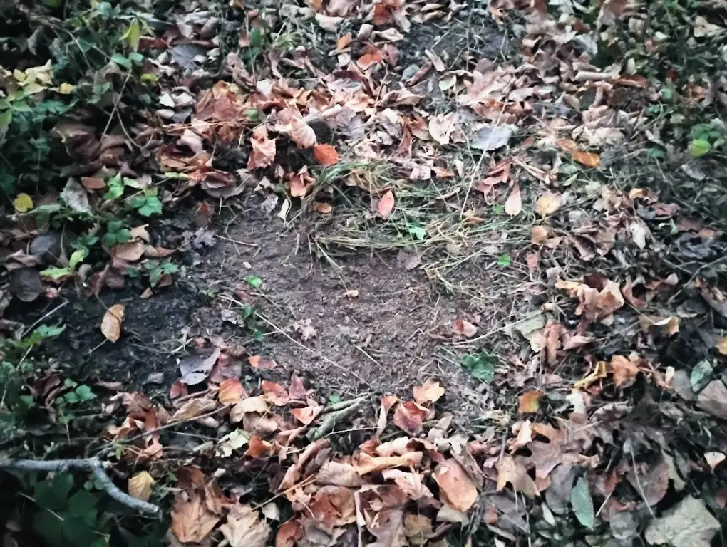 Picture 12