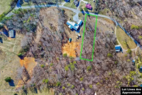 Friendsville, TN Wooded Lot