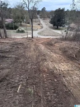 Residential Land in Oxford, AL