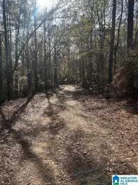 Beautiful 15-Acre Homesite in Clanton