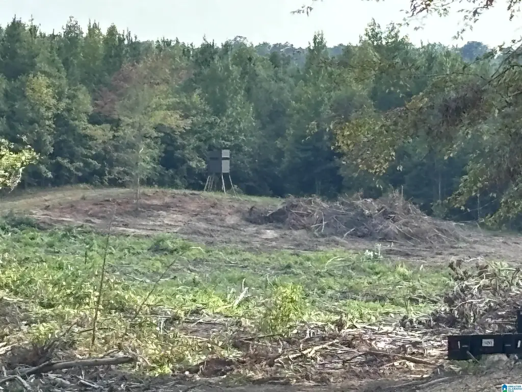 Picture 37